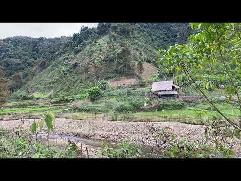 “A Small Countryside Field by a Cool Stream – Peaceful and Poetic”#naturesounds, #riversounds