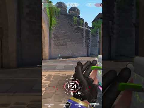 Ace with Killjoy / Spectrum (Zedd) Bulldog on Breeze