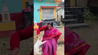 How to turn a phone into a cat🐈😀#funny #laugher #funnyclip #viral2025 #funnyreels #funnykids #fun