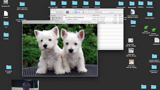 The Box Model: Web Design Layout with Dreamweaver, HTML, and CSS