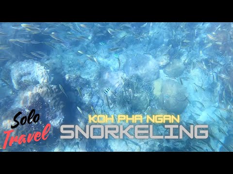 A Tranquil Exploration - Snorkeling in Koh Pha Ngan"