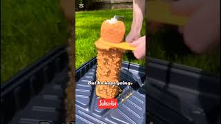 From Nothing to Everything – The Story of Success 💪 #Shorts