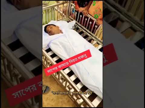 "সাপের কামড়ে বেজুরা'র(মজনু'র মৃত্যু)2025 l🥀💔😭..!!#innalillahiwainnailaihirojiun#snakevideo#emotional