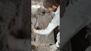 making Useful Cement Products #shorts #diy #cementprojects#youtubeshorts #satisfying