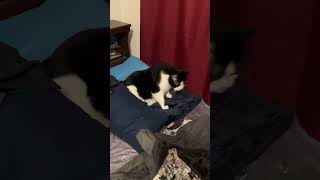 That’s one snug looking Nuggs.