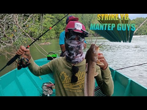 Mancing di sekitaran kayu bakau selalu menjanjikan hasil strike ikan pari || umpan udang