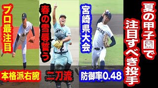 夏の甲子園で注目すべき投手はこの人たちだ！！