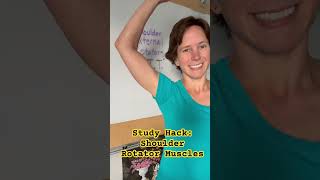 Study Hack: Shoulder Rotator Muscles #studyhack #anatomy #dpt #study #shoulders