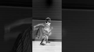 The X-Ray dance? 😂#homeschoolfun #homeschool #kindergarten