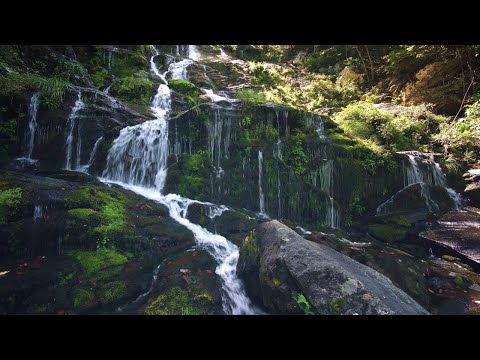 RELAXING MUSIC WITH WATER FALL... #relaxingmusic #calmmusic