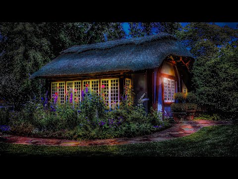 Enchanted Cottage 🌙💤 Night Forest Ambience with Magical Chimes 🌳🧚‍♀️🐸 10 Hours