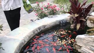 Xtreme BioFilter - Bill Majors - Happy Pond Owner