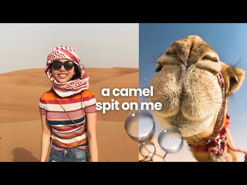 Dubai Desert Safari
