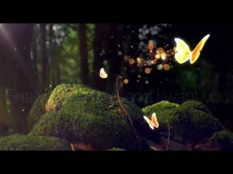 Butterflies - Ayzha Nyree (Lyric Video)