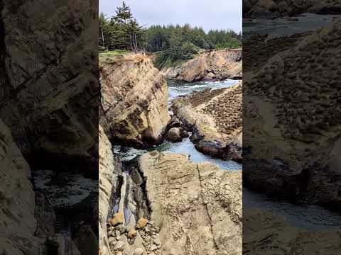 HAUNTED BY DARKNESS!!! #nature #shortvideo #trendingshorts