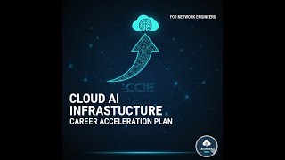 The Network Engineer's Evolution in 6 months