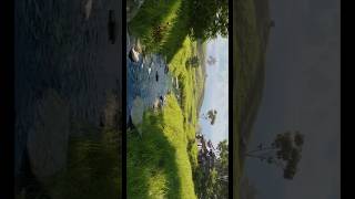 3D grassland environment made in Blender