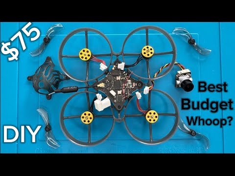 Building a 75mm Tiny Whoop for Under $75