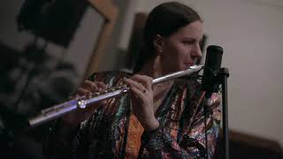 Environmental Encroachment, NPR Tiny Desk Submission 2020, Triple Line March, EE Chicago Brass Funk