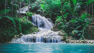 Divine Neutrality -Mastering your sacred empowered witness consciousness within