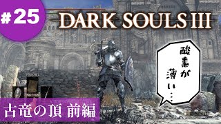 ㉕ゆっくり攻略ダークソウル３「古竜の頂 前編」