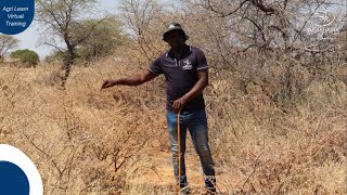 Controlling Bush Encroachment