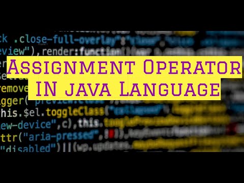 Assignment Operator  ||  java Language || Operator of the JAVA ||  With Example