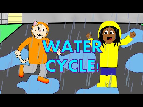 Science for Kids - The Water Cycle