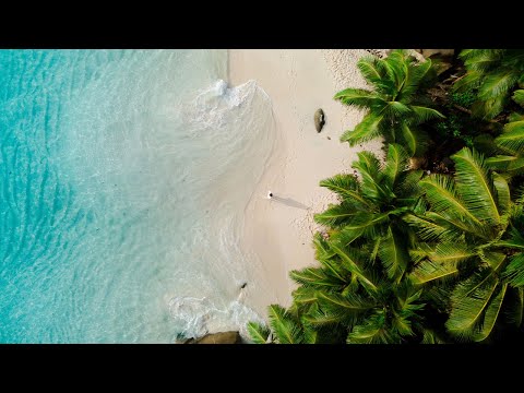Hello Summer | Sony FX30