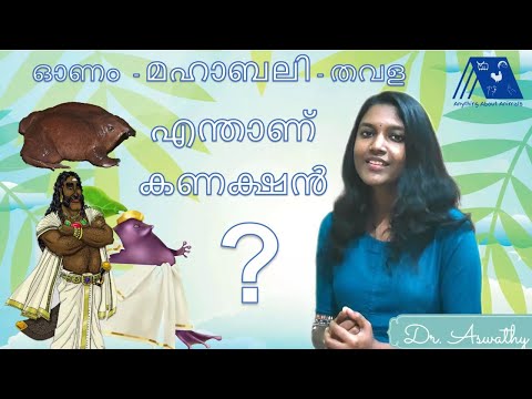 ഓണം - മഹാബലി - തവള എന്താണ് കണക്ഷൻ?? | Onam Special | Sandeep Das | Mahabali Frog | Purple Frog | AAA