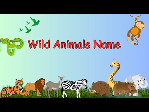 Wild Animals Name|| learn Animals Name|| forest Animals.