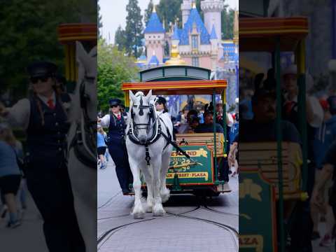The Horses of Disneyland #disneyland