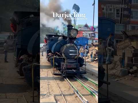 📍Darjeeling, West Bengal 🌱🍃 #darjeeling #travel #explore #shorts #trending #toytrain #nature