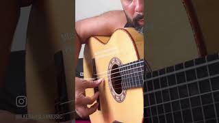 Gitarını Konuştur !