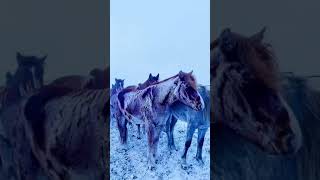 😨that is incredible😱