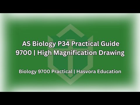 Higher Magnification Drawing | AS Biology P34 Practical Guide | 9700