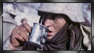 The Collapse of The German Army. Diary of A German Lieutenant. The Eastern Front.