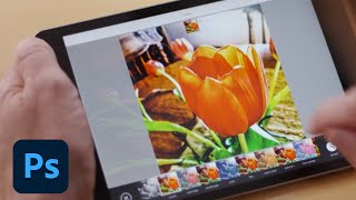 Adobe Photoshop Mix | Adobe Photoshop