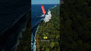 Top 5 fenómenos naturales más peligrosos en el mundo 😦