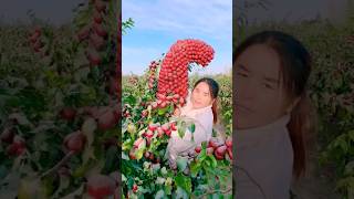 #short #agriculture #agritools#farming2024  #youtubeshorts #EliteShortsUnleashed #1828