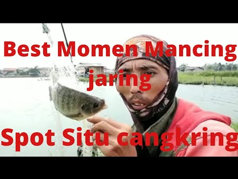 Best Momen mancing jaring di situ cangkring