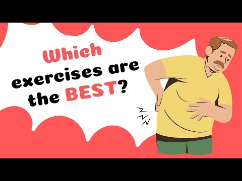 How to Know Which Back Exercises are BEST for YOU