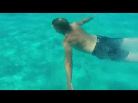 The captain diving