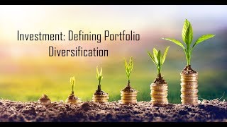 Investment: Defining Portfolio Diversification