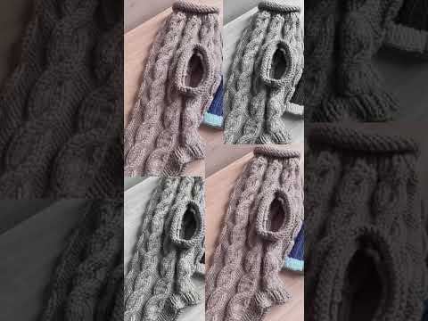 Roupa de tricô para cachorro! #roupapet #tricot #cachorro