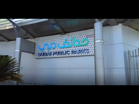 Zabeel Park - Fun Time @ Volga Tigris - Digital Marketing Agency