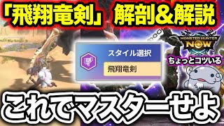 [A Bit Complex...?] Everything You Need to Know About the Switch Axe "Soaring Wyvern Blade" Style...