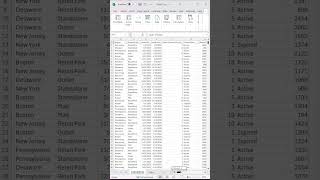 Create Dynamic Pivot Tables in Excel with flyline Data #excel #exceltips #exceltutorial