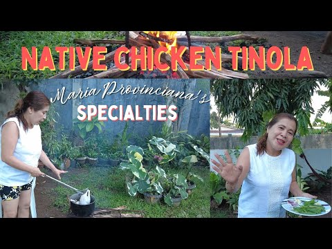 Native Chicken Tinola - VLOG 7 - MARIA PROVINCIANA'S SPECIALTIES