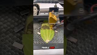 Laser Transformed Simple Leaf Into a Work of Art!🤯